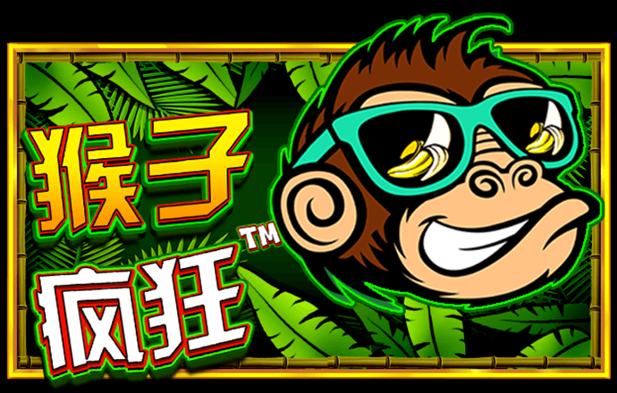 中欧体育网页登录入口